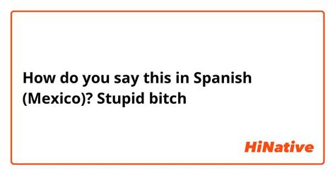 dumb bitch in spanish